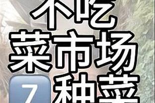 雷竞技app官网网址入口